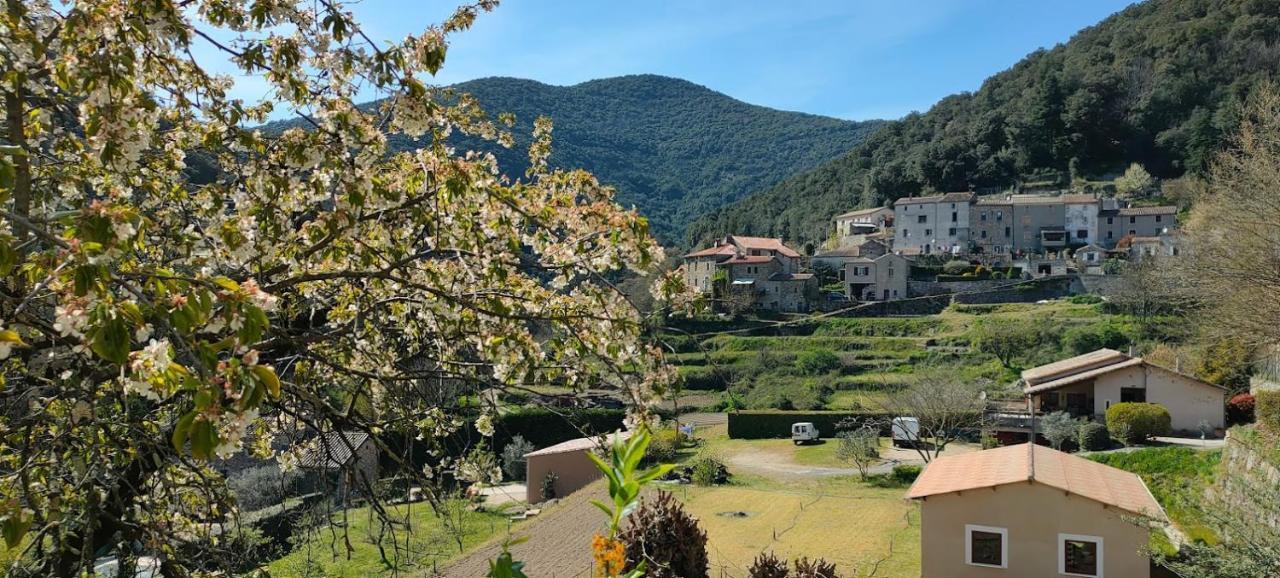 Maisonette En Cevennes Notre-Dame-de-la-Rouvière Extérieur photo